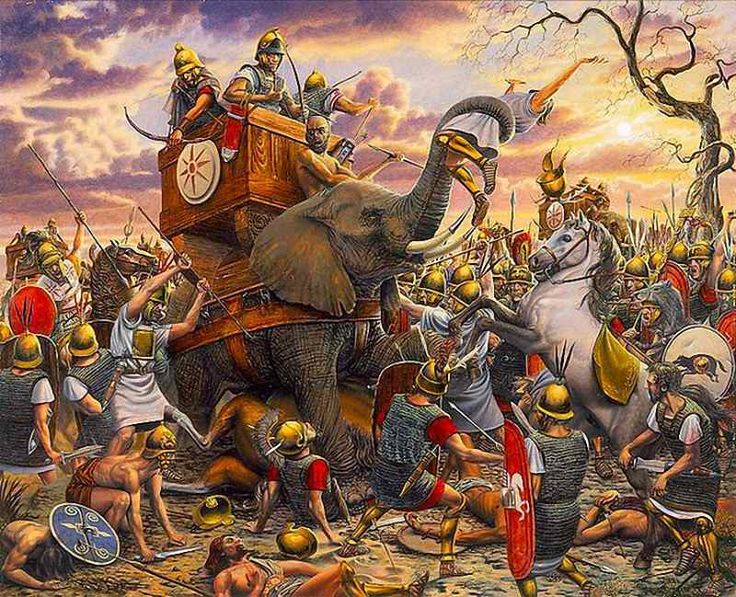 30701220c07732e0c0a80000676b4066--war-elephant-punic-wars.jpg