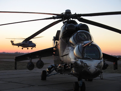 eagle035.jpg