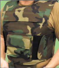 fig6.jpg