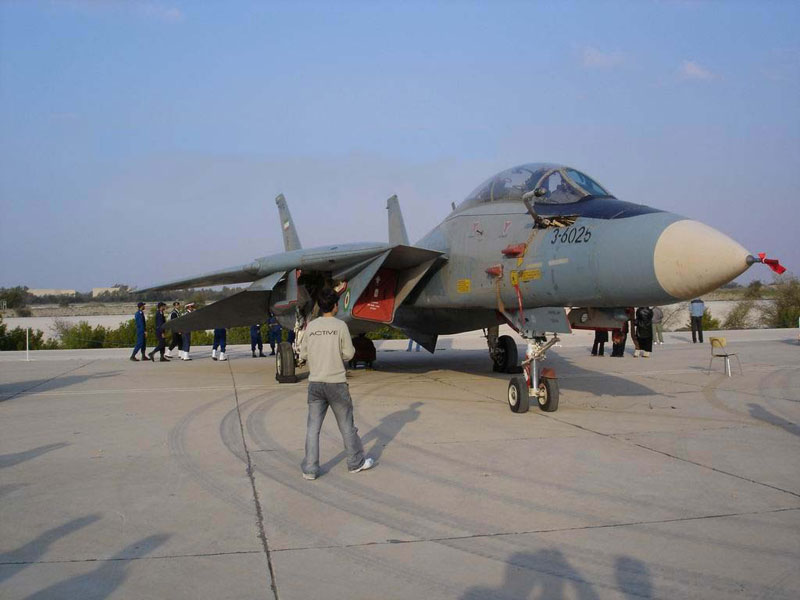 Iranian_f-14.jpg