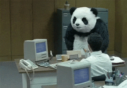 ec7372988bd3bbcbc7c20e7dc440328e.gif