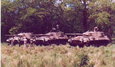 tam_2.jpg