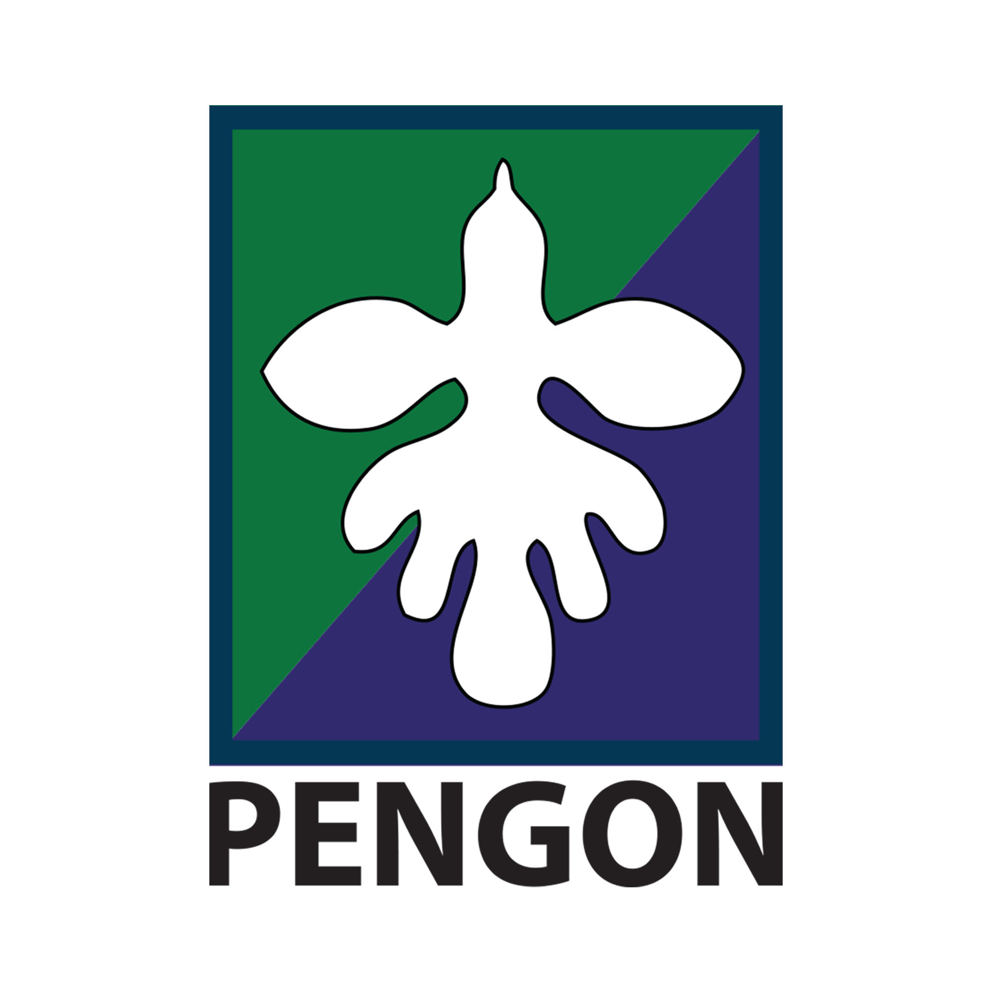 www.pengon.org