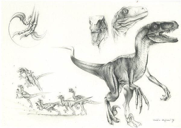 JP_Velociraptor_by_PaleoPastori.jpg