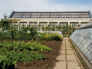 www.urbangreenbluegrids.com