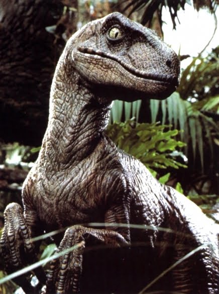 raptor-dinosaur.jpg