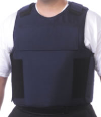 fig4.jpg