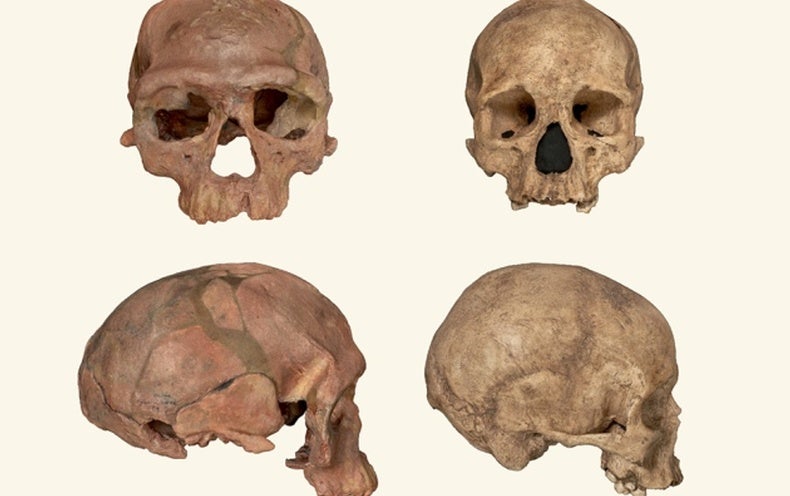 www.scientificamerican.com