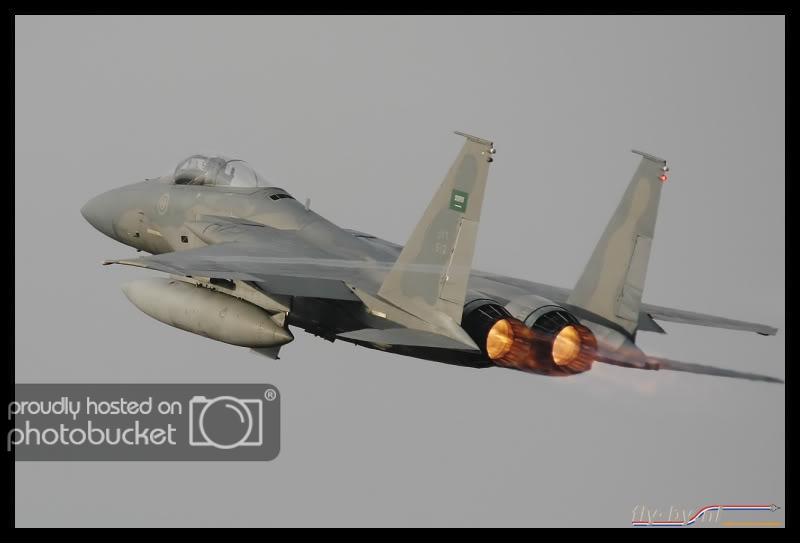 Dijon_Saudi_Eagle_2.jpg