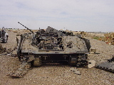 Bradley%201%20t.jpg