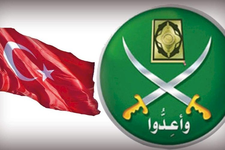 arabmubasher.com