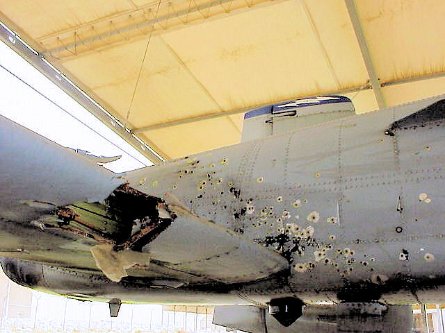 Kim_campbell_damage_a10.jpg