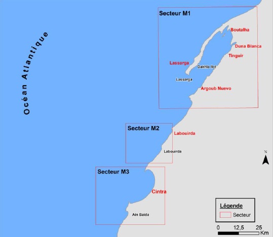 aquaculture%20dakhla.jpg