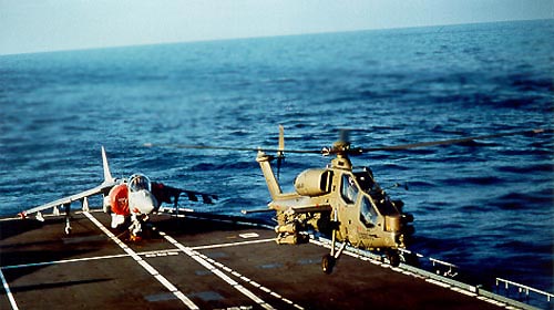 a129_2.jpg