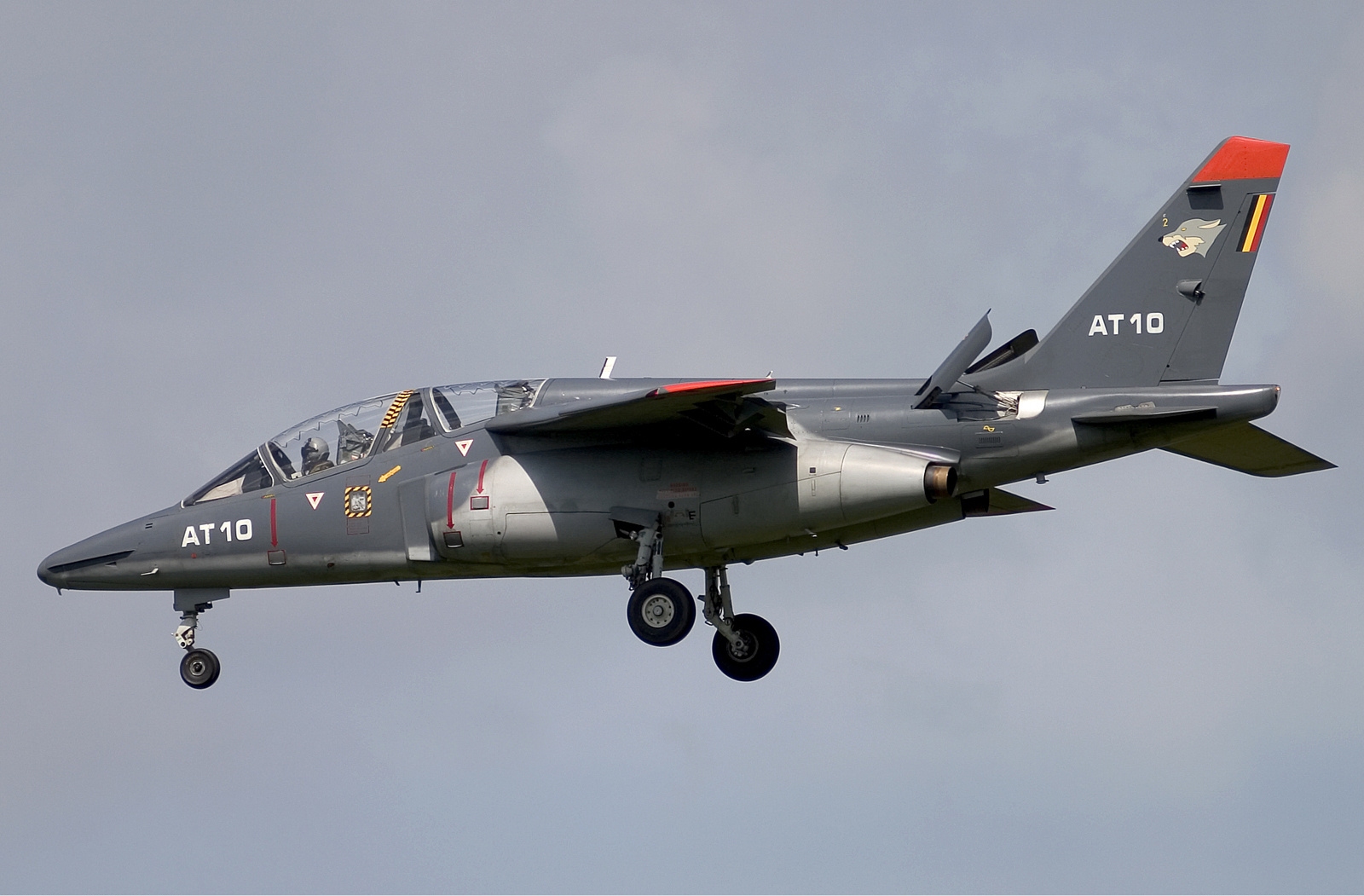 Belgium_Air_Force_Dassault-Dornier_Alpha_Jet_1B_Lofting-1.jpg