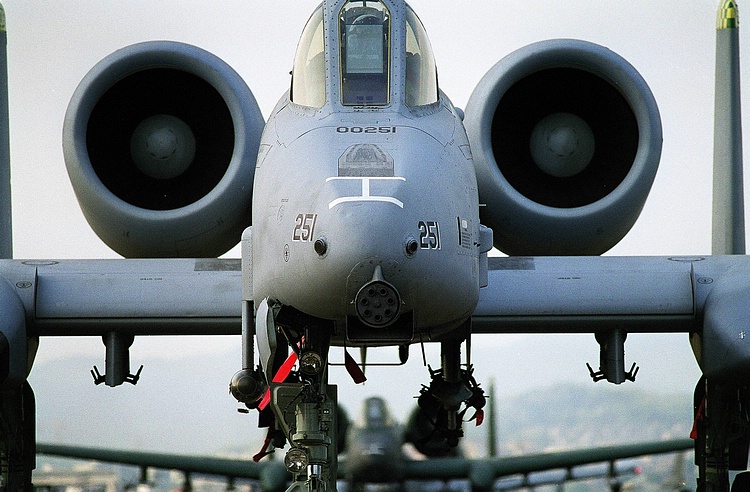 a-10_19.jpg