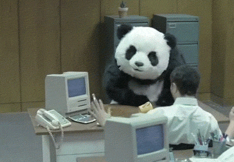 panda-szaleje.gif