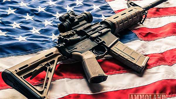 Modern-Sporting-Rifle-AR15-Patriotic-Flag.jpg