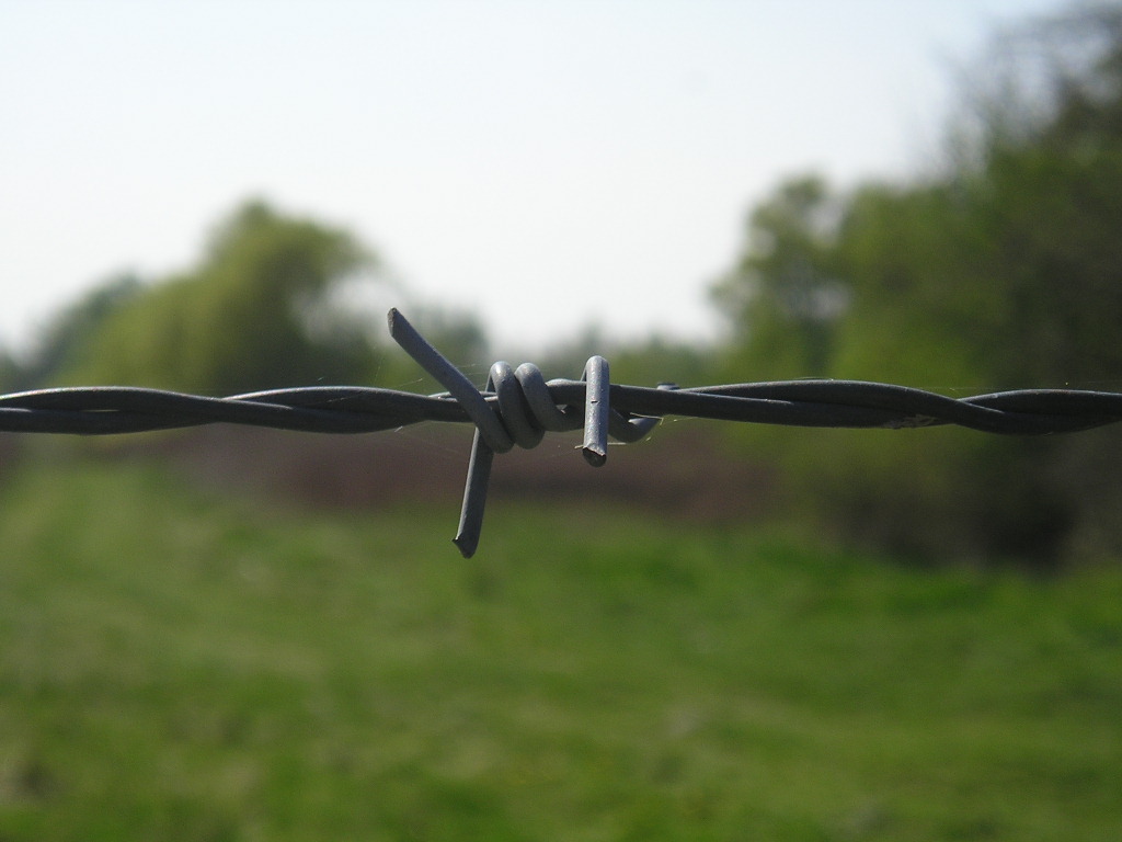 Barbed_wire_BA.jpg