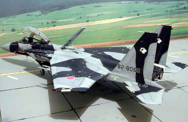 f15djpds_8.jpg