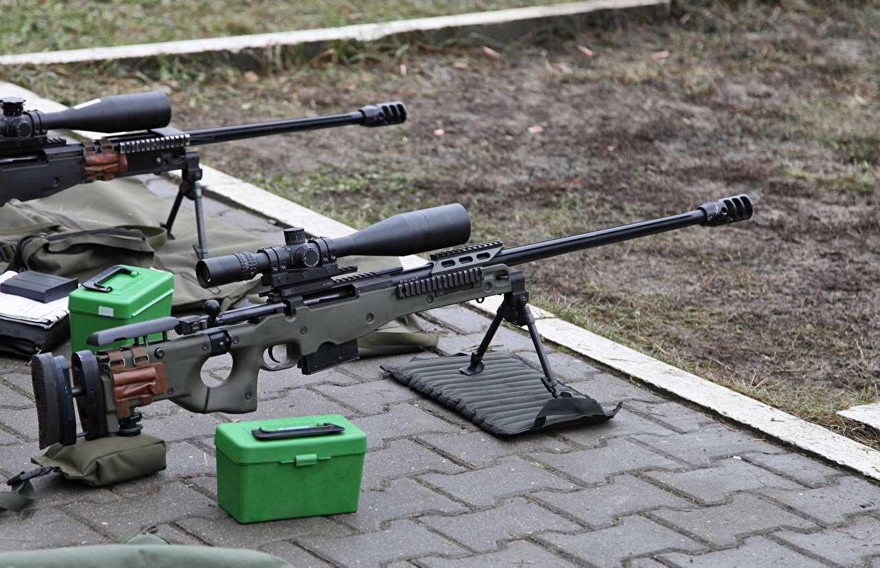 Sniper_rifle_Arctic_437310.jpg