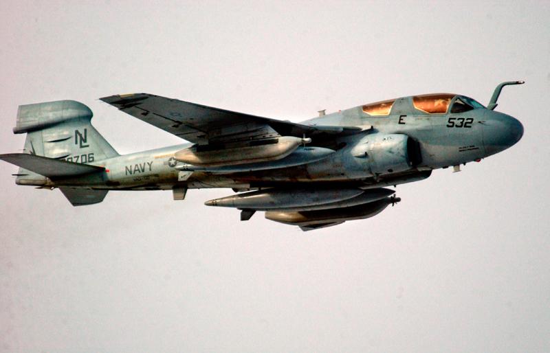 AIR_EA-6B_Prowler_Gold_lg.jpg
