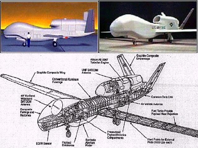 Global_Hawk-1.jpg