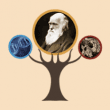 evolutioninarabic.com
