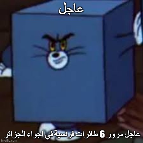 5pusfp.jpg