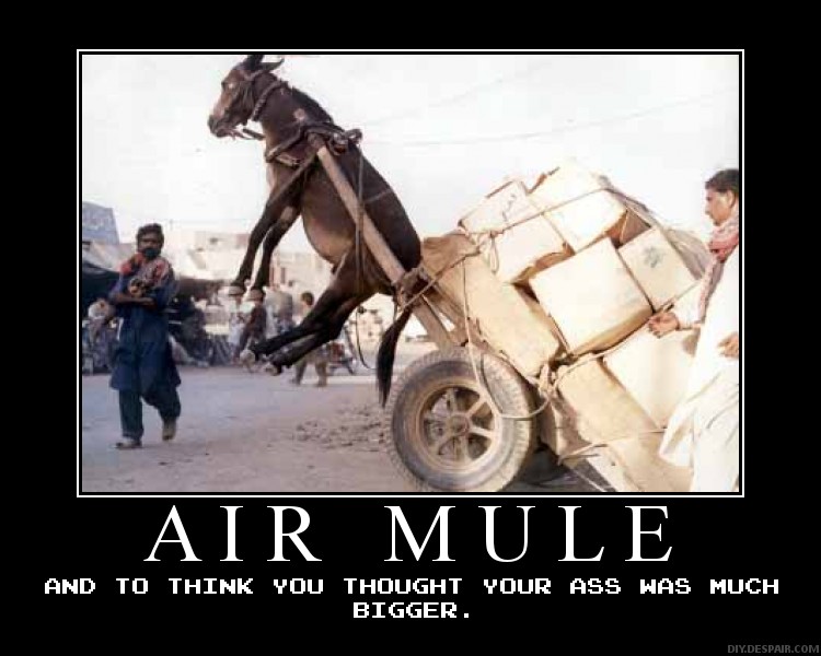 air_mule_by_starkiller955.jpg