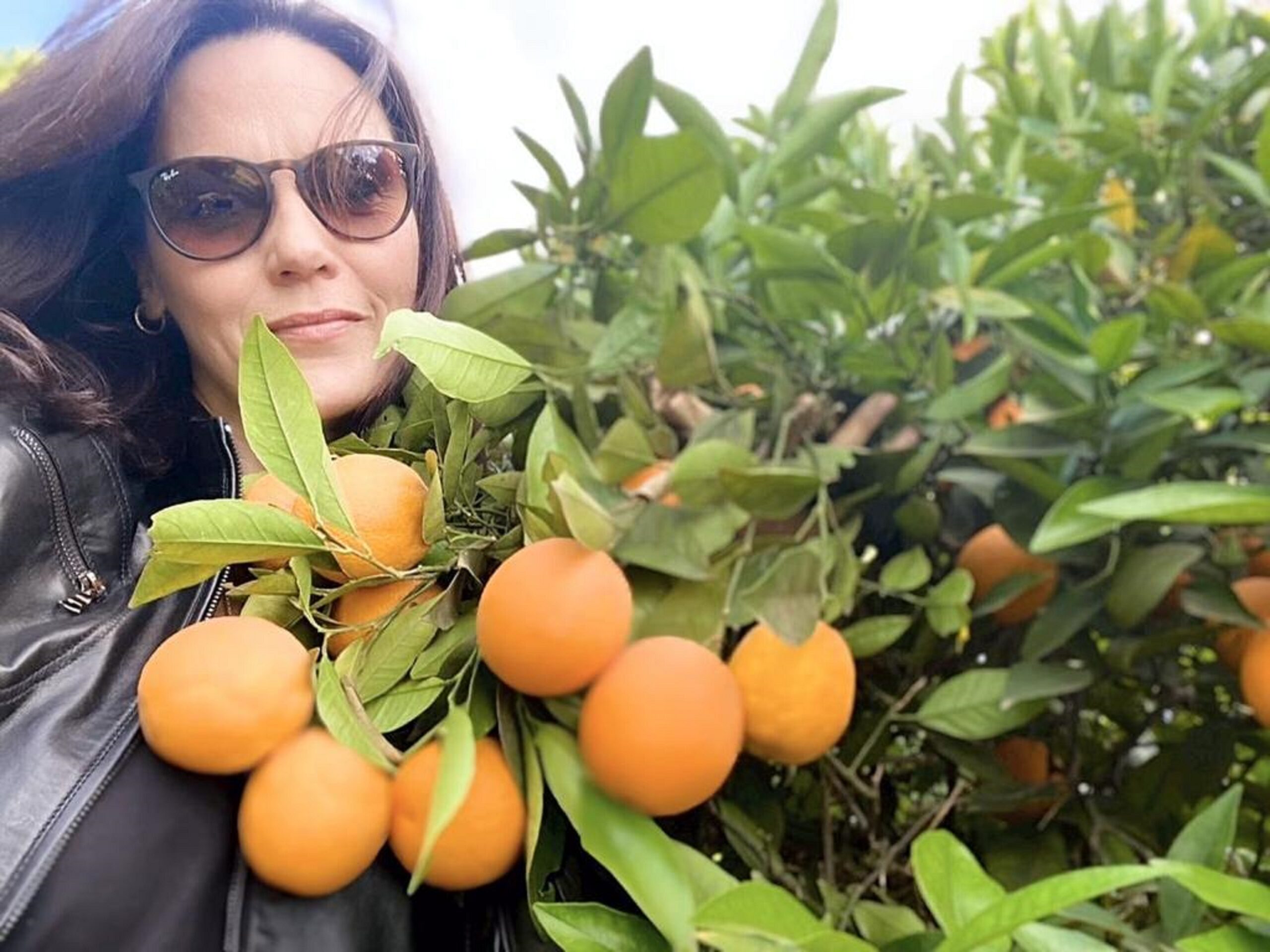 valenciafruits.com
