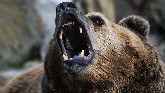 bear-bites-off-child_s-hand-in-southern-russia.si.jpg