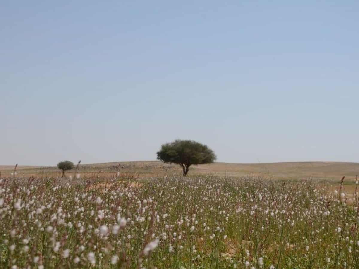 www.siasat.com
