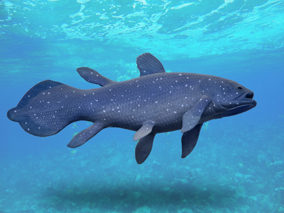 coelacanth_underwater_0.jpg