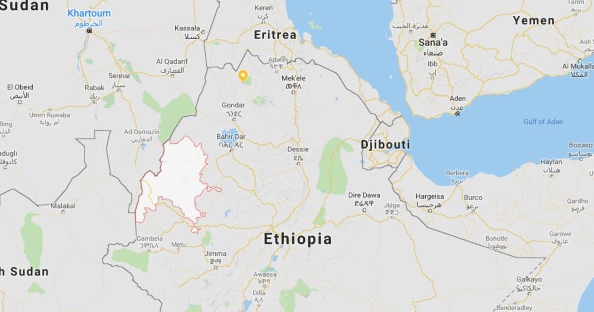 amharic.voanews.com