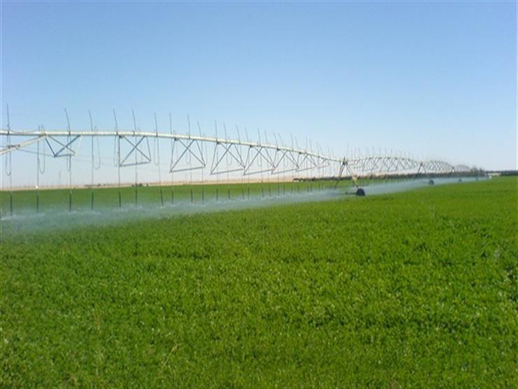 جهاز الإحصاء: استصلاح 313 ألف فدان في مشروع المليون ونصف فدان