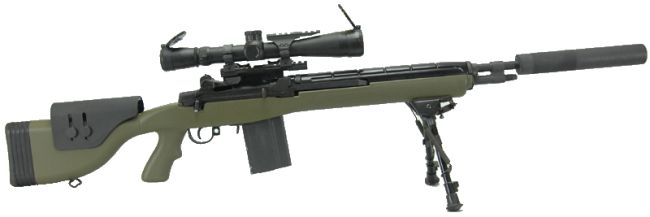 m14_dmr.jpg