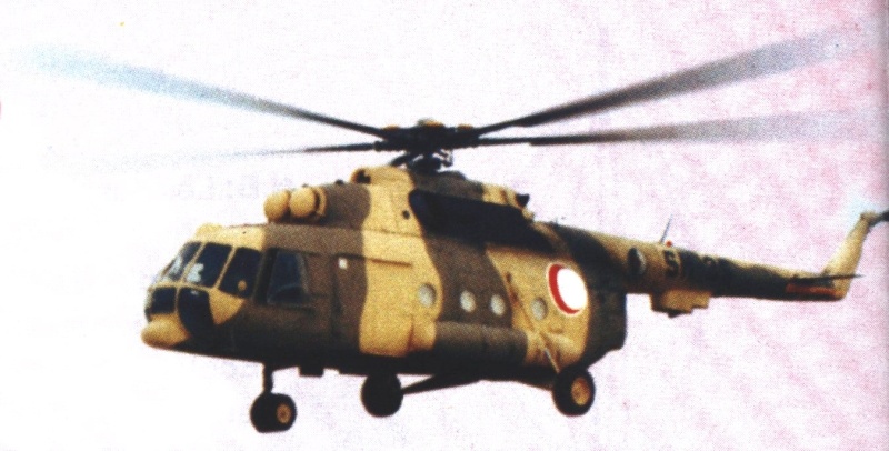 mi-17111.jpg