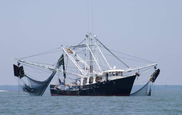 Fishing-vessel.jpg