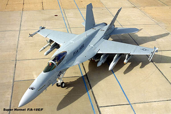 AIR_F-18E_Super_Hornet_Parked_lg.jpg