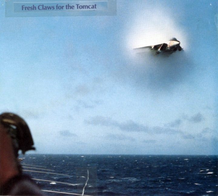 Brad_Jones_30F-14TomcatSoundBarrier.jpg