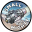 tdi-engines.com
