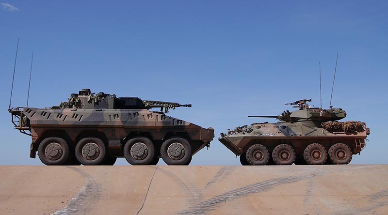 boxer_and_aslav.jpg