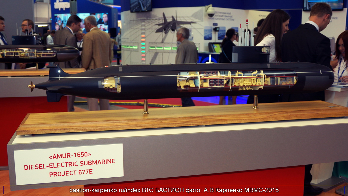 AMUR-1650_MVMS-2015_01.jpg