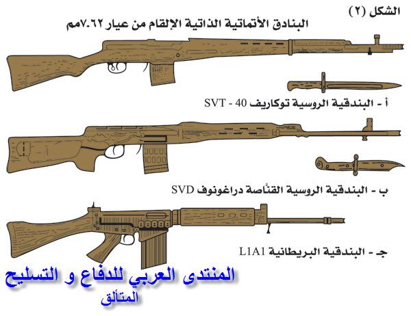 66430.jpg