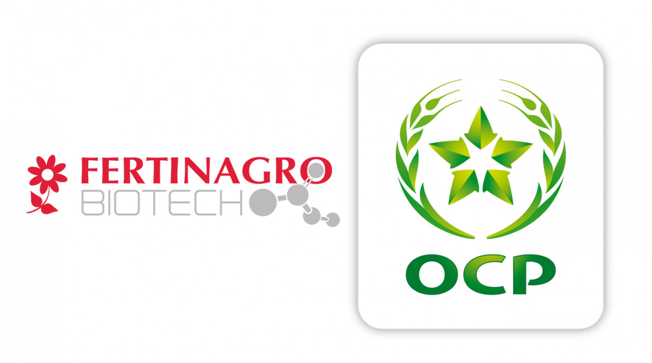 b2ap3_large_logo-ocp-y-fertinagro.jpg