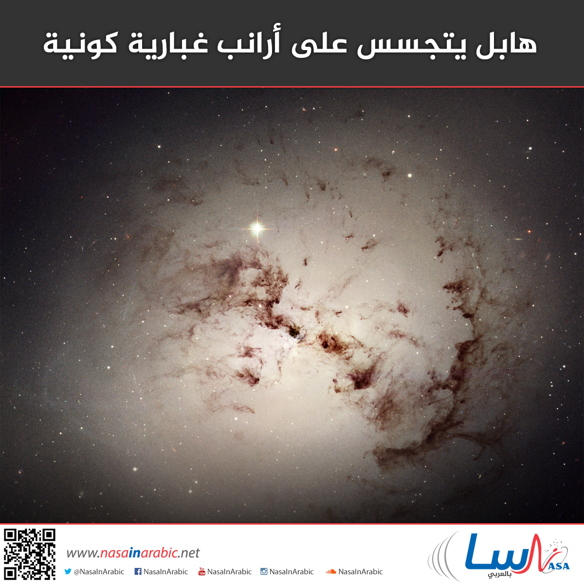 9254edd5d1c5c1282bd1f5420abd720e.jpg
