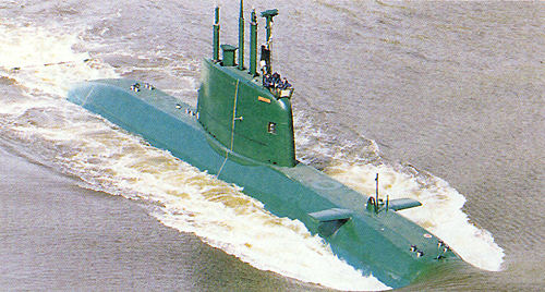 dolphin6.jpg