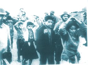 algerie-8-5-1945.jpg