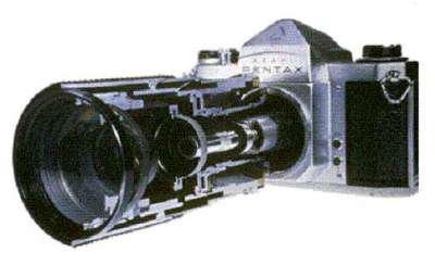 3909784507.jpg